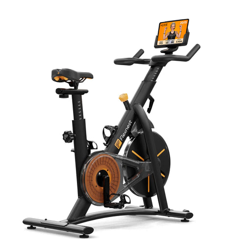 Best at home spin bike hot sale under 500